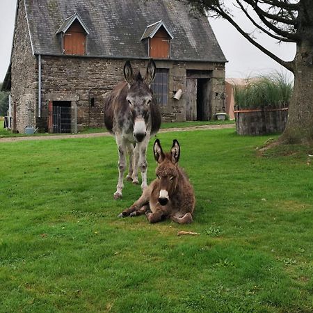 La Billardiere Camping A La Ferme Le Menil-Ciboult Buitenkant foto
