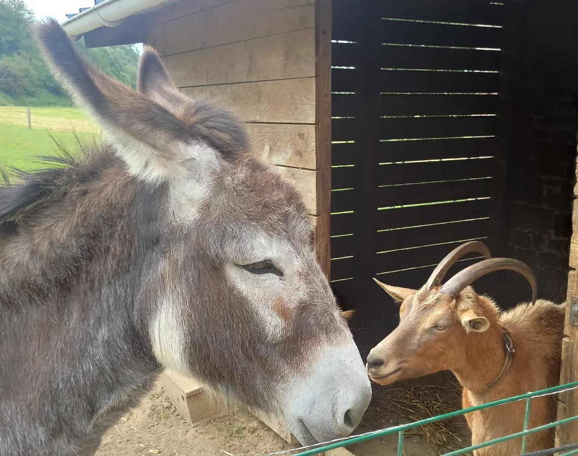 La Billardiere Camping A La Ferme Le Menil-Ciboult Buitenkant foto