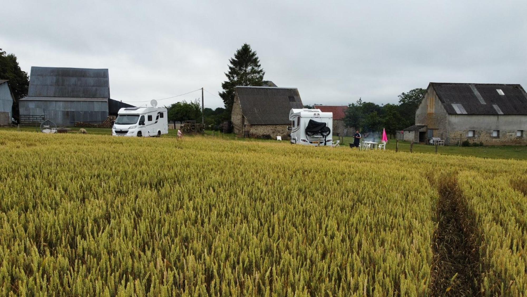 La Billardiere Camping A La Ferme Le Menil-Ciboult Buitenkant foto