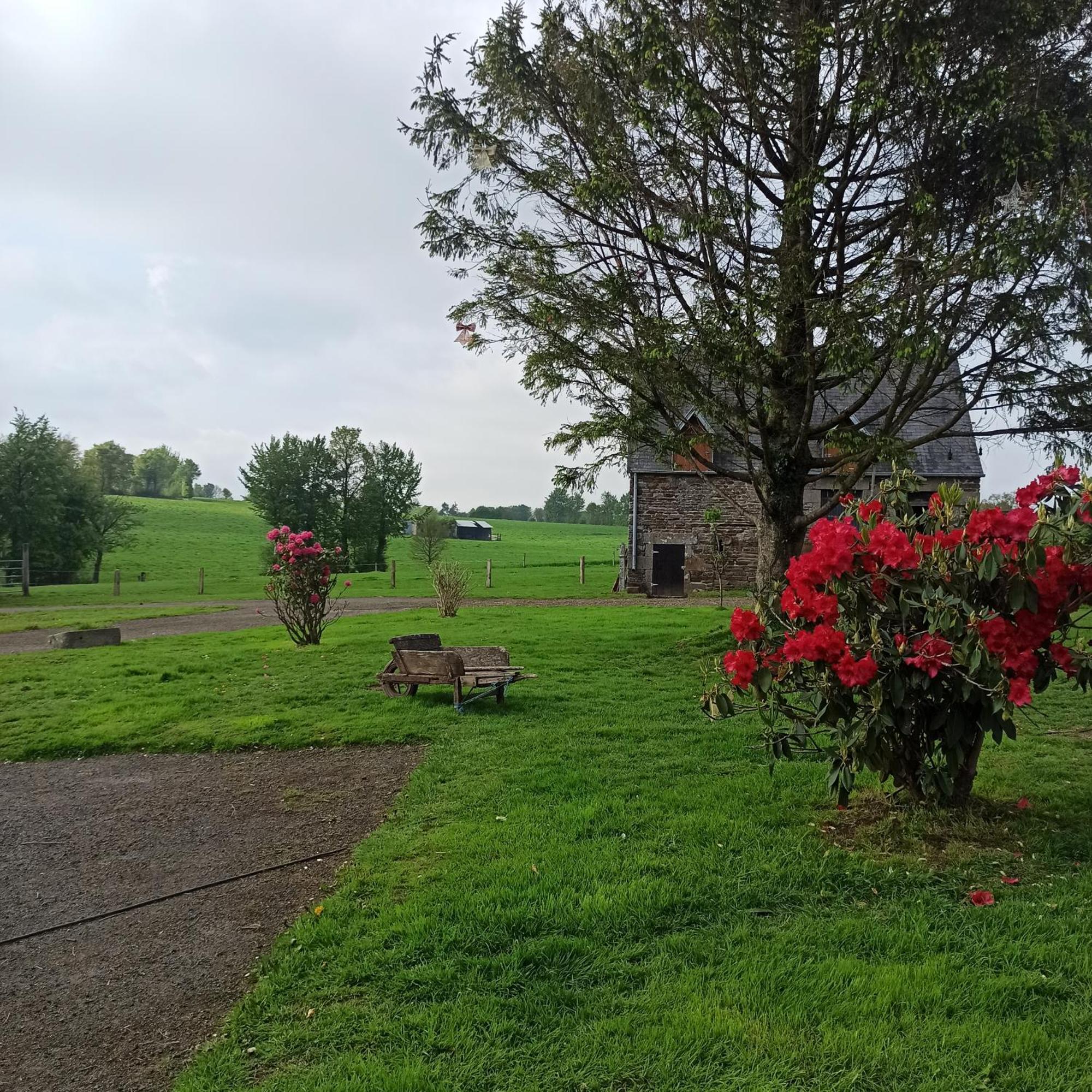 La Billardiere Camping A La Ferme Le Menil-Ciboult Buitenkant foto