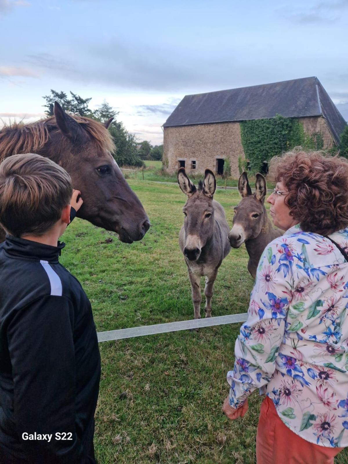 La Billardiere Camping A La Ferme Le Menil-Ciboult Buitenkant foto